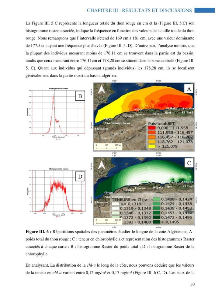 Contribution à l’étude de l’âge, de la croissance et de l’exploitation des espèces du genre Trachurus (Téléostéens, Carangidae) de la région centre du littoral algérien