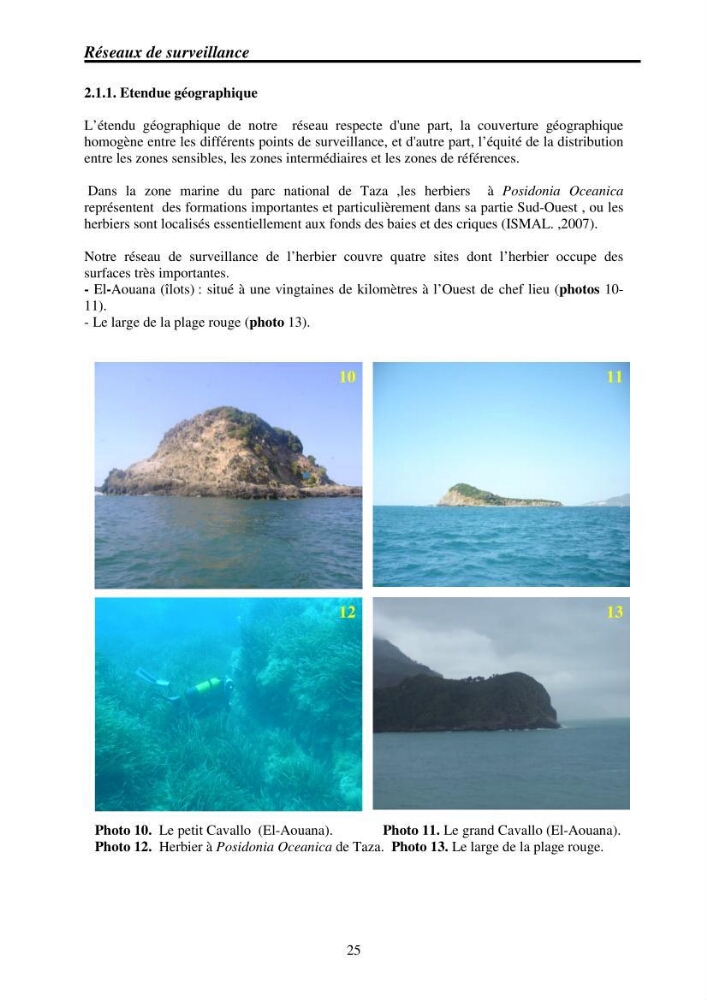 Mise en place de réseaux de surveillance environnementaux de la zone marine côtière de Taza ( wilaya de Jijel):