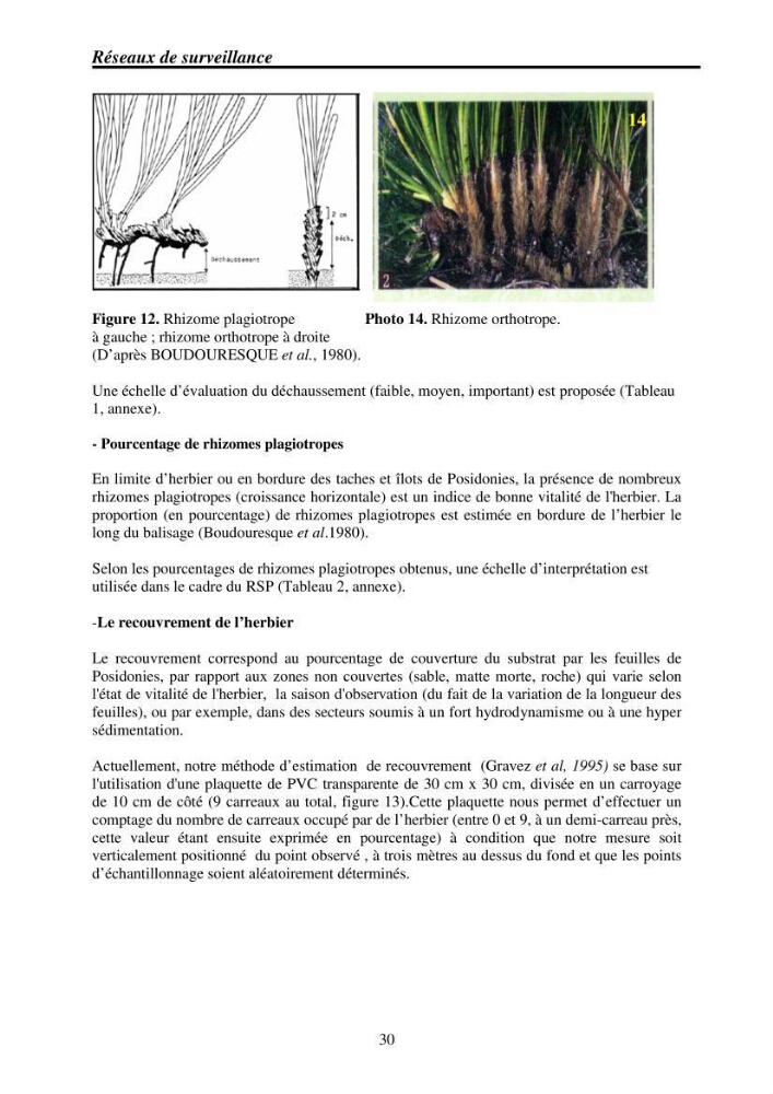 Mise en place de réseaux de surveillance environnementaux de la zone marine côtière de Taza ( wilaya de Jijel):