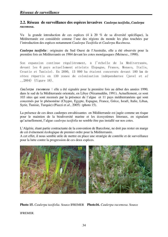 Mise en place de réseaux de surveillance environnementaux de la zone marine côtière de Taza ( wilaya de Jijel):