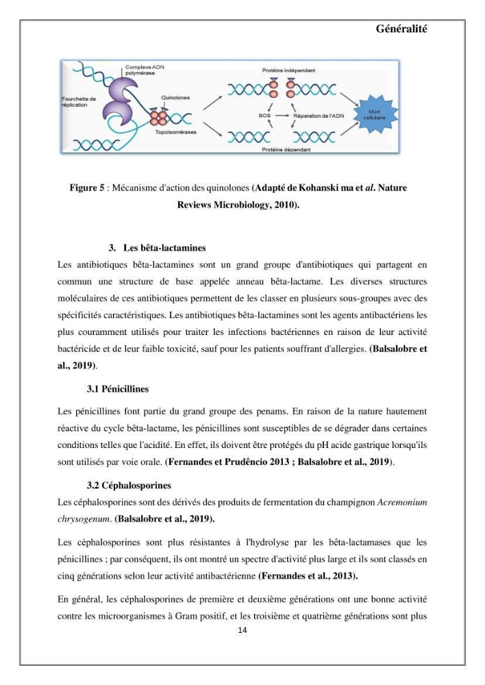 Caractérisation et évaluation de la virulence et de la résistance aux antibiotiques chez les entérocoques isolés dans le milieu marin
