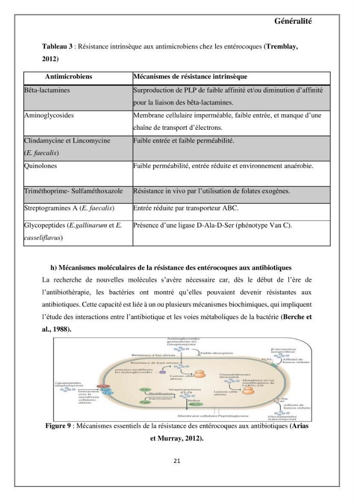 Caractérisation et évaluation de la virulence et de la résistance aux antibiotiques chez les entérocoques isolés dans le milieu marin
