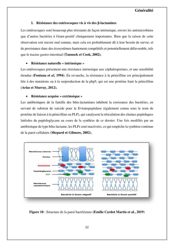 Caractérisation et évaluation de la virulence et de la résistance aux antibiotiques chez les entérocoques isolés dans le milieu marin