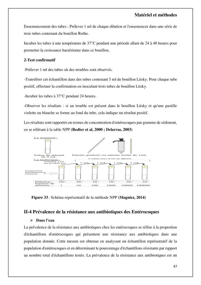 Caractérisation et évaluation de la virulence et de la résistance aux antibiotiques chez les entérocoques isolés dans le milieu marin