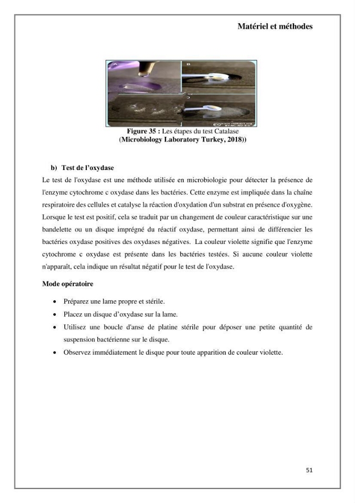 Caractérisation et évaluation de la virulence et de la résistance aux antibiotiques chez les entérocoques isolés dans le milieu marin
