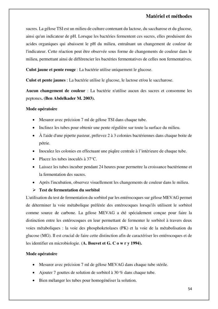 Caractérisation et évaluation de la virulence et de la résistance aux antibiotiques chez les entérocoques isolés dans le milieu marin