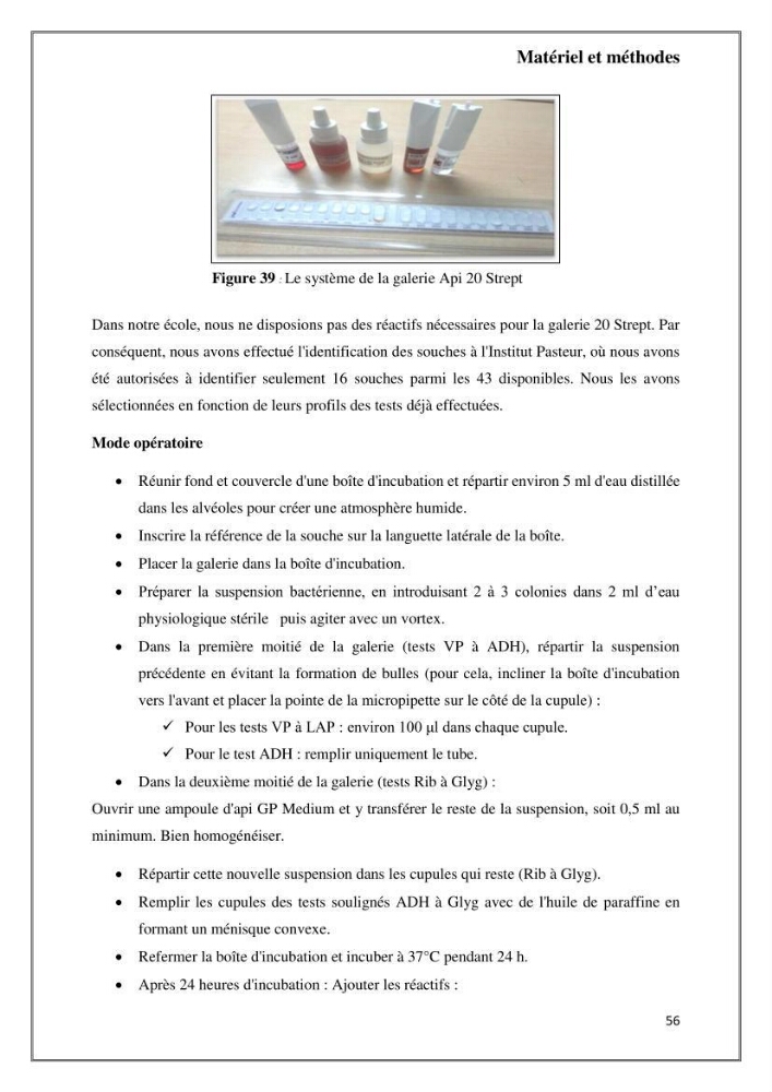 Caractérisation et évaluation de la virulence et de la résistance aux antibiotiques chez les entérocoques isolés dans le milieu marin