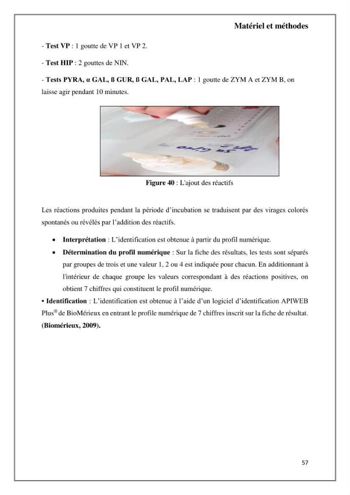 Caractérisation et évaluation de la virulence et de la résistance aux antibiotiques chez les entérocoques isolés dans le milieu marin