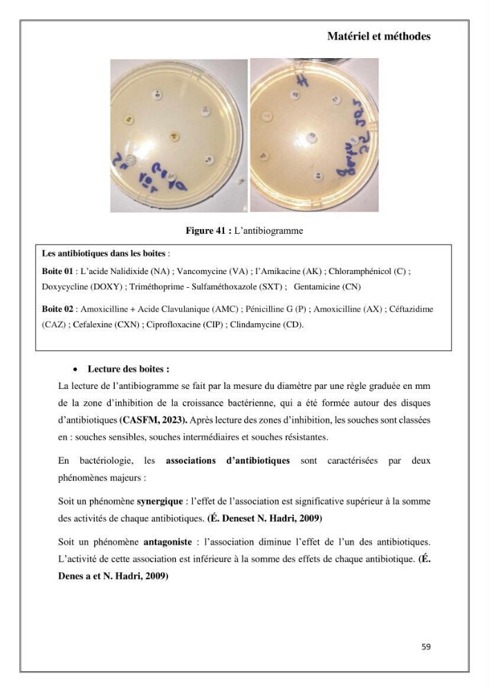 Caractérisation et évaluation de la virulence et de la résistance aux antibiotiques chez les entérocoques isolés dans le milieu marin