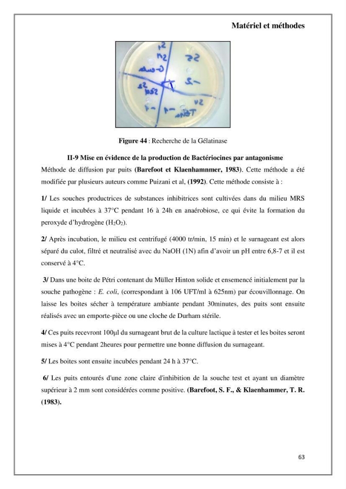 Caractérisation et évaluation de la virulence et de la résistance aux antibiotiques chez les entérocoques isolés dans le milieu marin