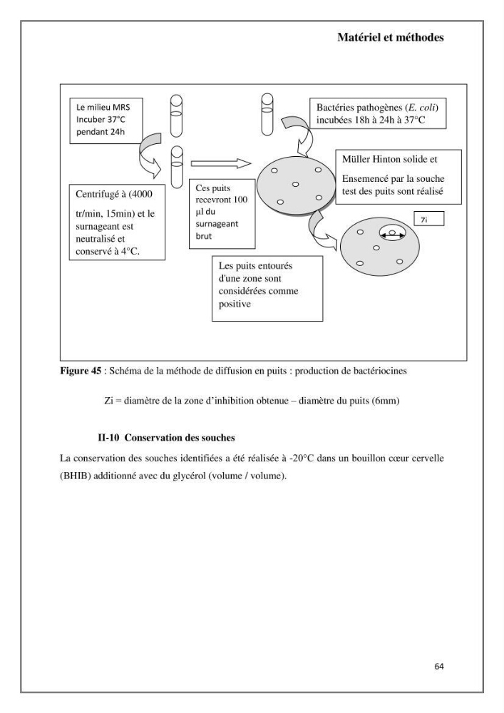 Caractérisation et évaluation de la virulence et de la résistance aux antibiotiques chez les entérocoques isolés dans le milieu marin