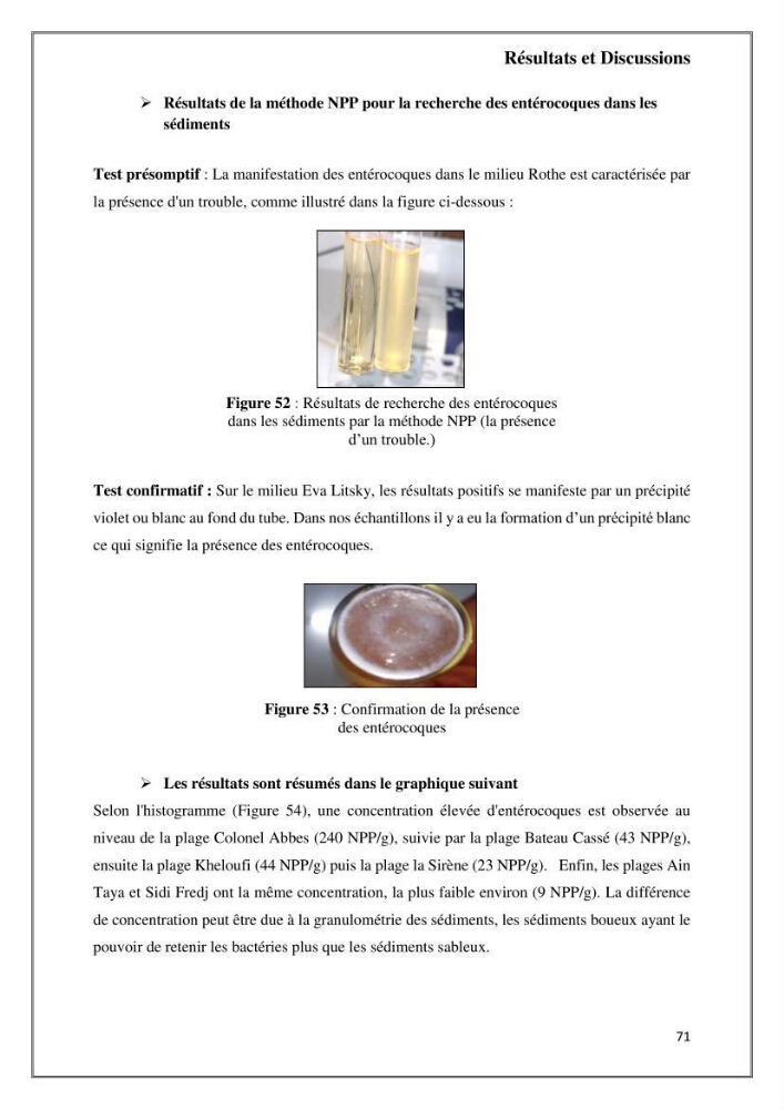 Caractérisation et évaluation de la virulence et de la résistance aux antibiotiques chez les entérocoques isolés dans le milieu marin