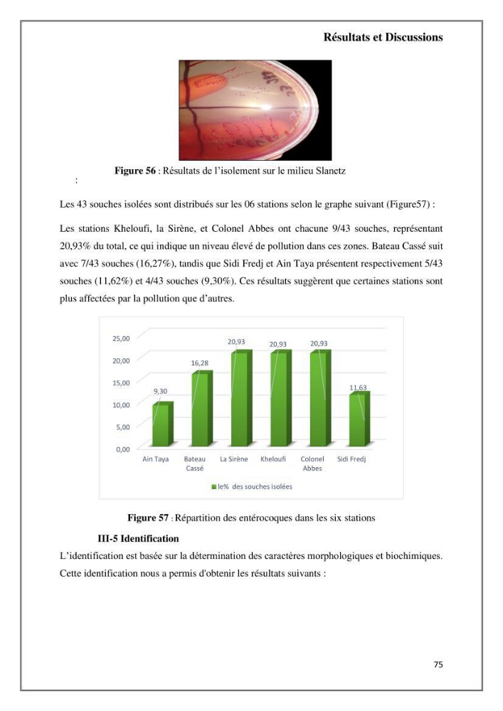 Caractérisation et évaluation de la virulence et de la résistance aux antibiotiques chez les entérocoques isolés dans le milieu marin