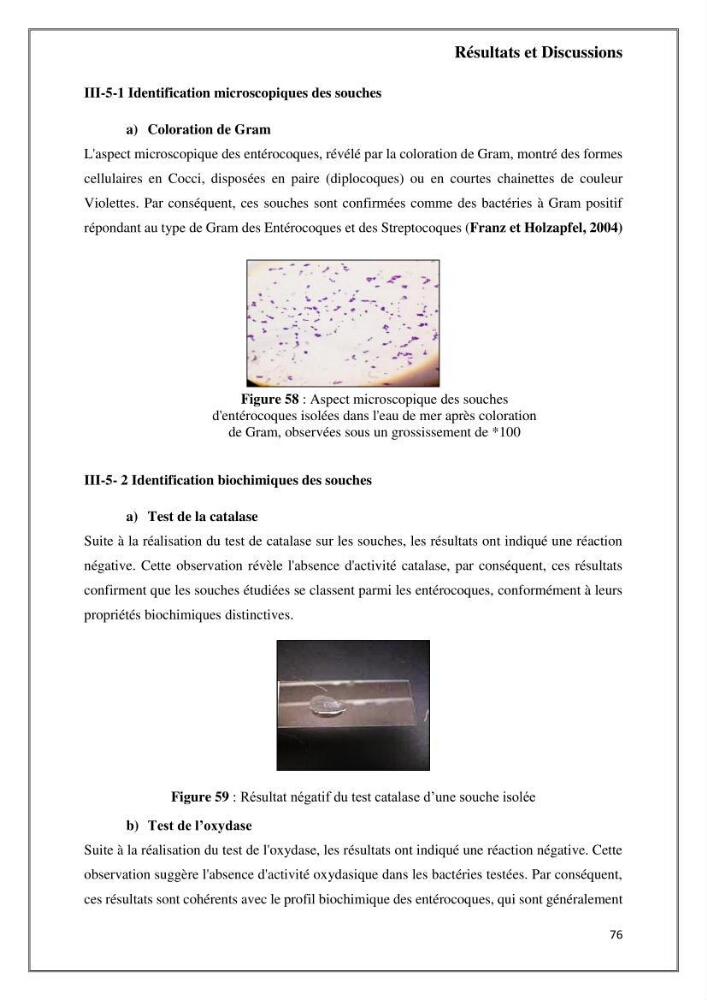Caractérisation et évaluation de la virulence et de la résistance aux antibiotiques chez les entérocoques isolés dans le milieu marin