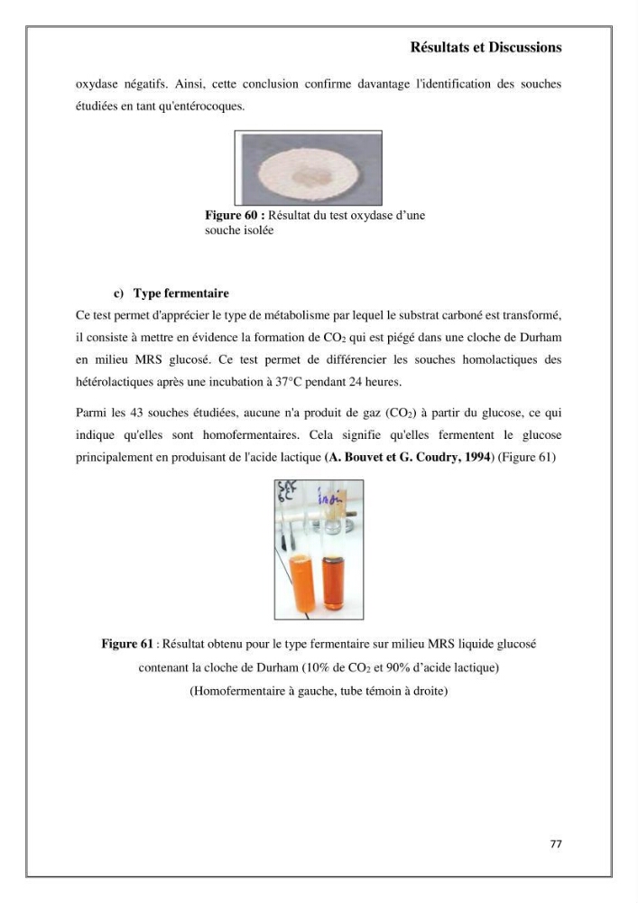 Caractérisation et évaluation de la virulence et de la résistance aux antibiotiques chez les entérocoques isolés dans le milieu marin
