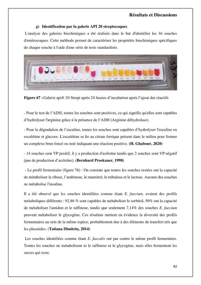 Caractérisation et évaluation de la virulence et de la résistance aux antibiotiques chez les entérocoques isolés dans le milieu marin