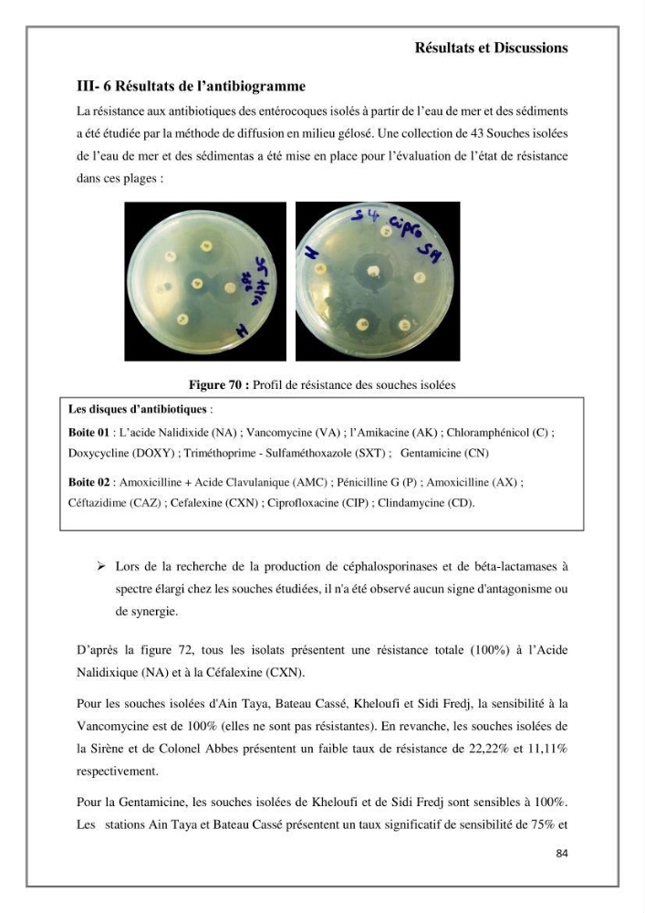 Caractérisation et évaluation de la virulence et de la résistance aux antibiotiques chez les entérocoques isolés dans le milieu marin