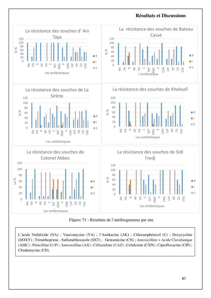 Caractérisation et évaluation de la virulence et de la résistance aux antibiotiques chez les entérocoques isolés dans le milieu marin