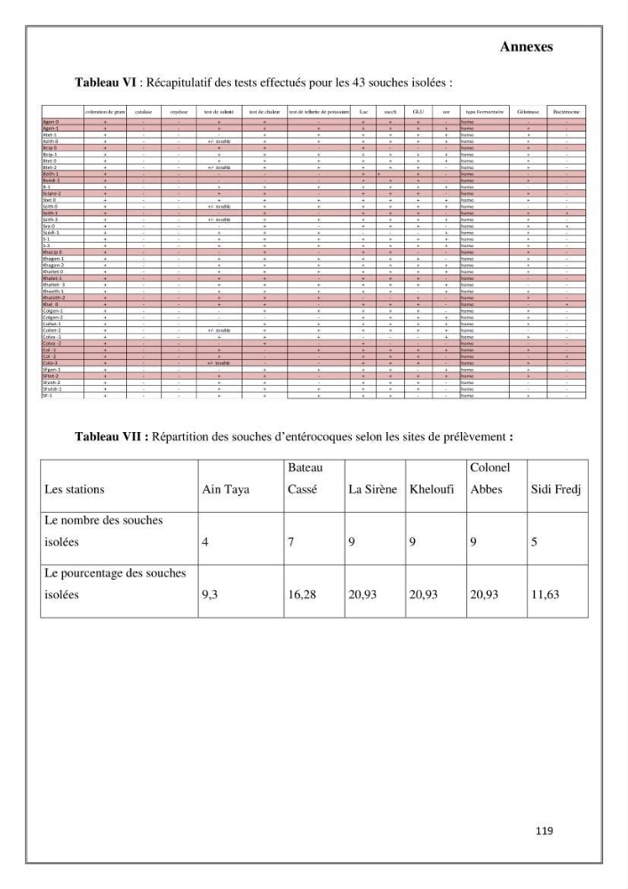 Caractérisation et évaluation de la virulence et de la résistance aux antibiotiques chez les entérocoques isolés dans le milieu marin