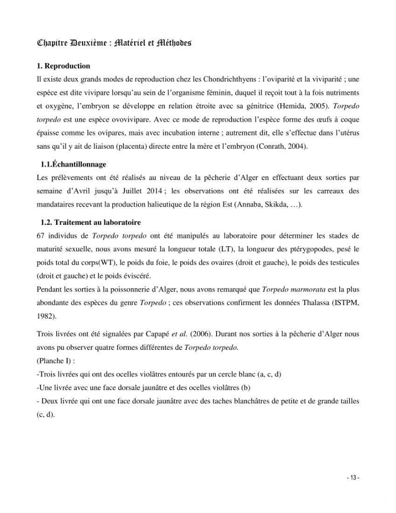 Contribution à la biologie de Torpedo torpedo (Elasmobranches, Torpedinidae) dans la région est de la côte algérienne.