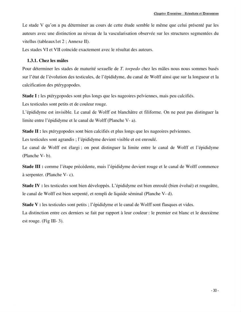 Contribution à la biologie de Torpedo torpedo (Elasmobranches, Torpedinidae) dans la région est de la côte algérienne.
