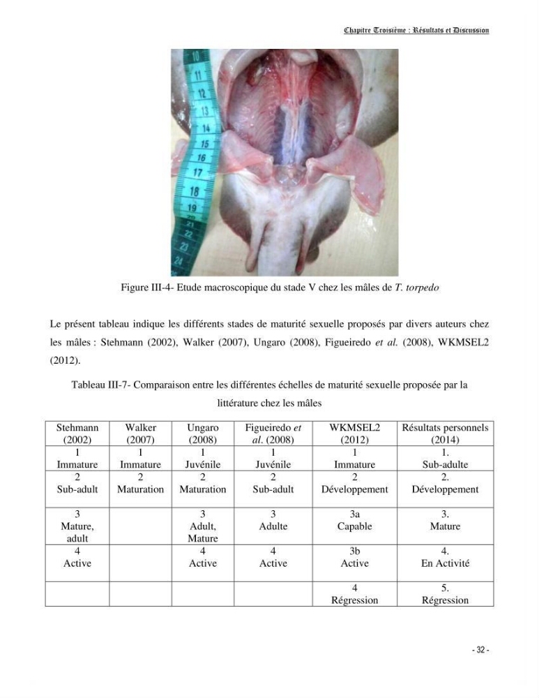 Contribution à la biologie de Torpedo torpedo (Elasmobranches, Torpedinidae) dans la région est de la côte algérienne.
