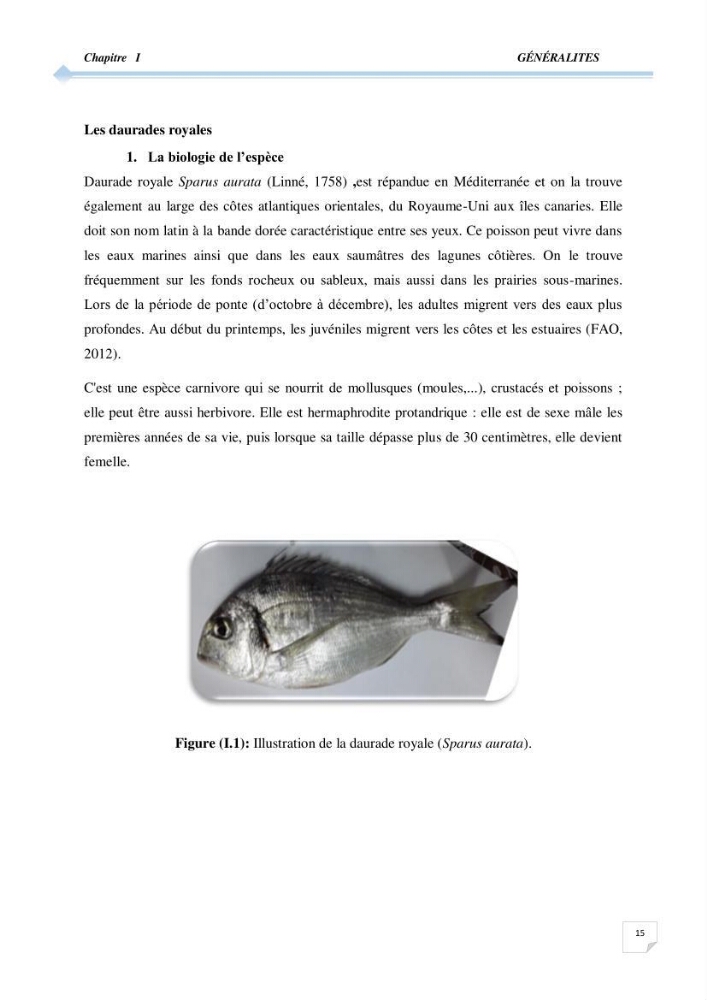 Contribution à l\'étude de la déférienciation morphométrique et génétique des daurades ( Sparus aurata) (linné 1758) sauvages et d\'élevage