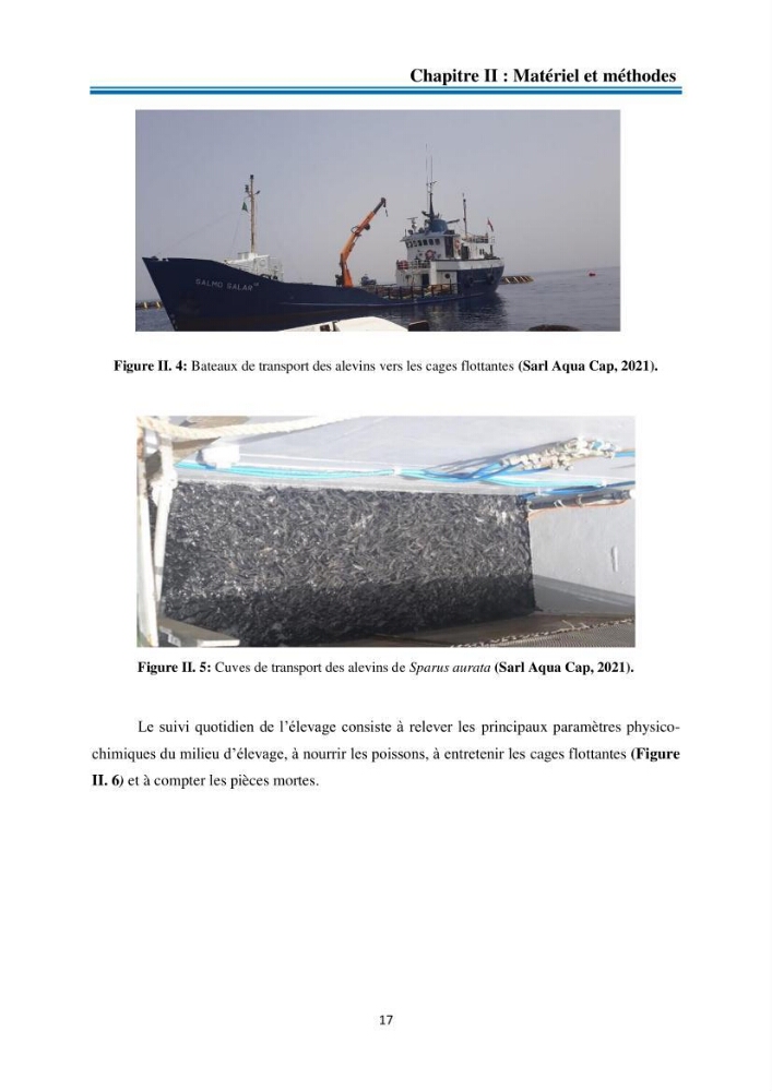 Evolution de la croissance de la daurade d’élevage au niveau de la ferme SRL AQUACAP (Beni Ksila, Béjaia)