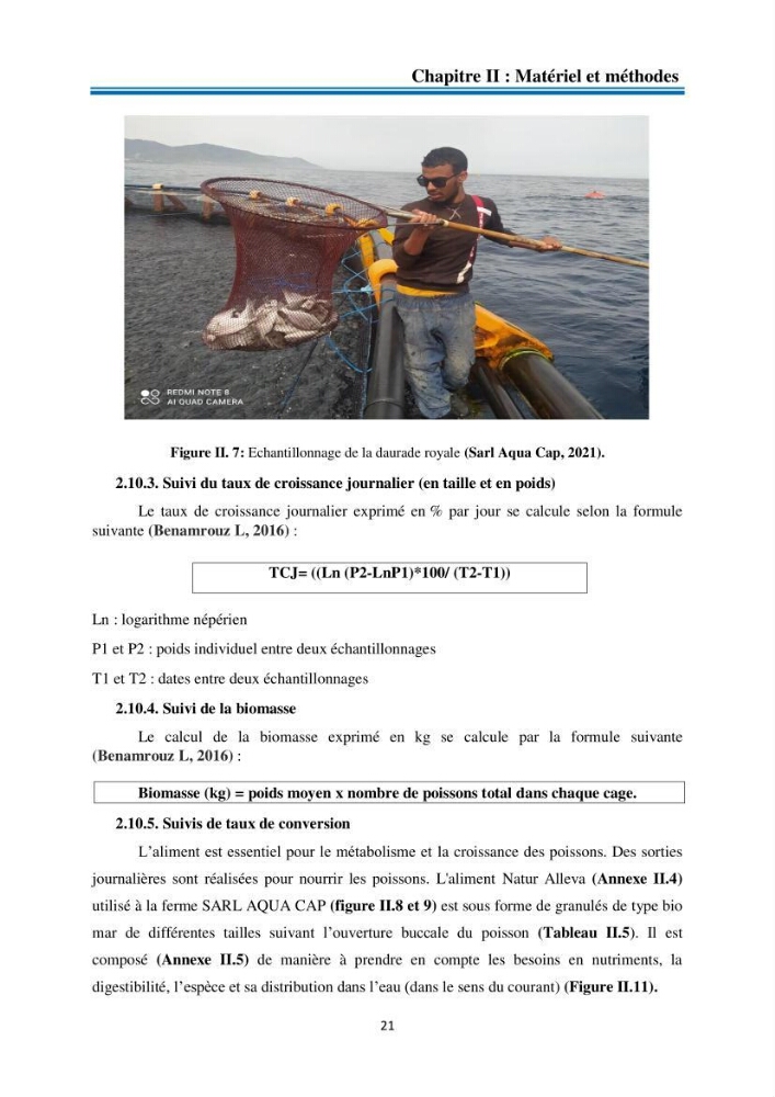 Evolution de la croissance de la daurade d’élevage au niveau de la ferme SRL AQUACAP (Beni Ksila, Béjaia)
