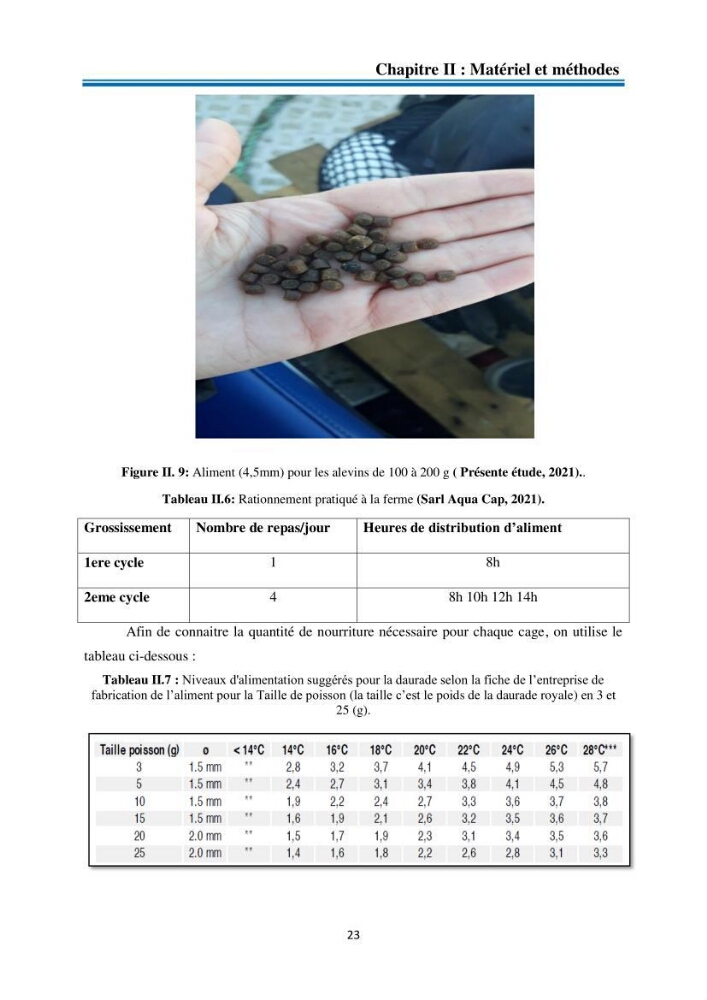 Evolution de la croissance de la daurade d’élevage au niveau de la ferme SRL AQUACAP (Beni Ksila, Béjaia)