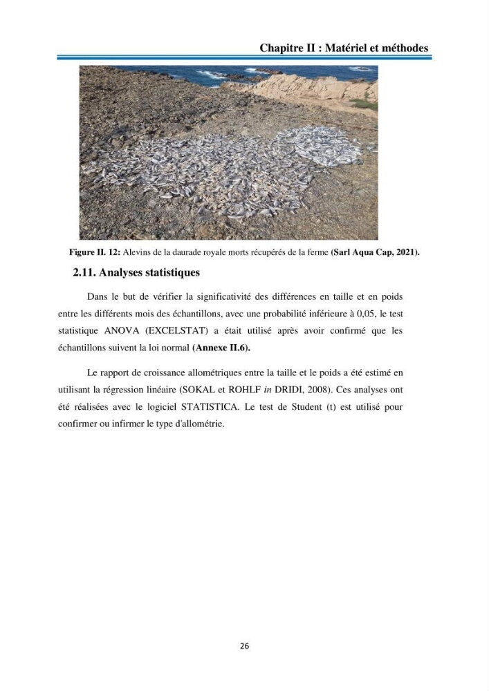 Evolution de la croissance de la daurade d’élevage au niveau de la ferme SRL AQUACAP (Beni Ksila, Béjaia)