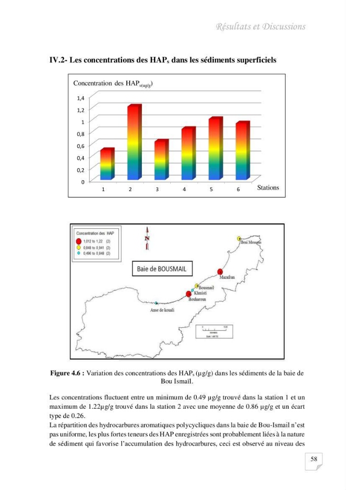 Contribution à l\'évaluation des taux des hydrocarbures aromatiques polycycliques dans le sédiment marin de la baie de Bou-Ismail.