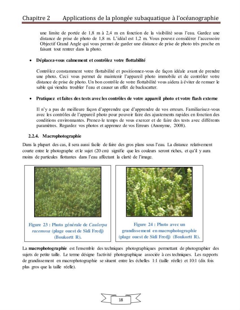 Apport de la plongée subaquatique a l\'océanographie