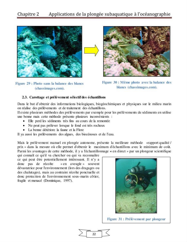 Apport de la plongée subaquatique a l\'océanographie