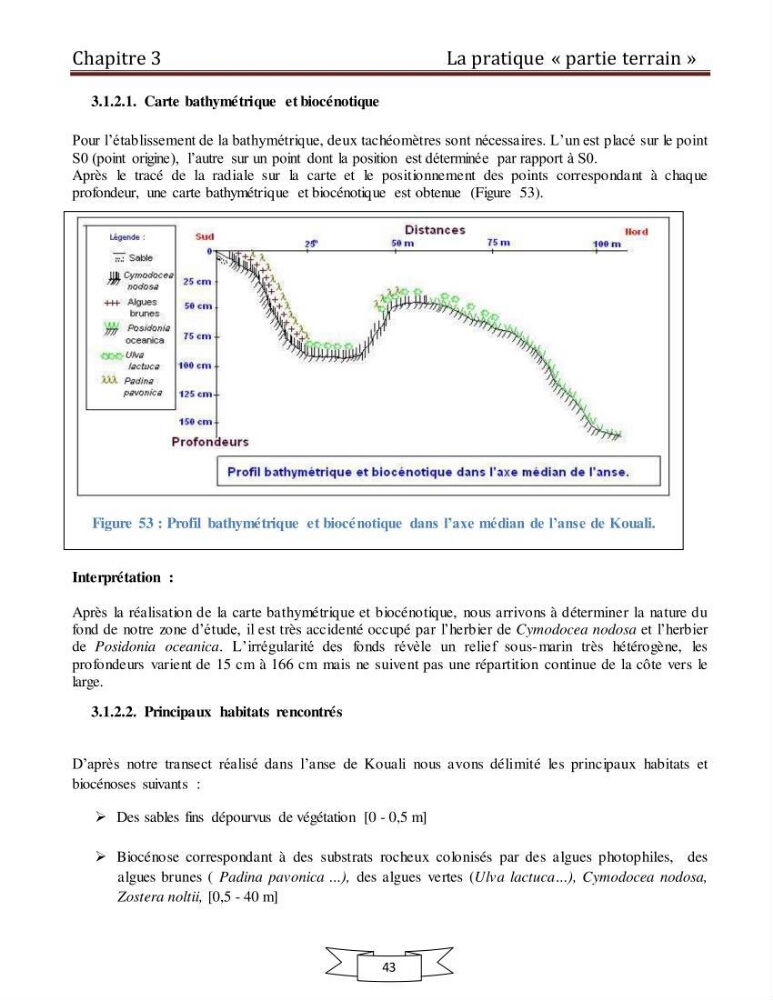 Apport de la plongée subaquatique a l\'océanographie