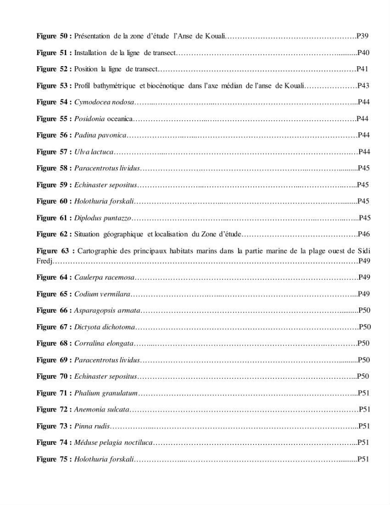 Apport de la plongée subaquatique a l\'océanographie