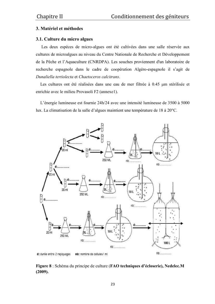 Contribution à la maîtrise du conditionnement des géniteurs de la moule Mytilus galloprovincialis (Lamarck, 1819), mollusque bivalve à potentialité mytilicole.