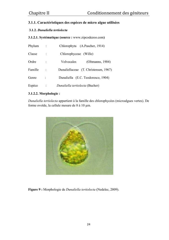 Contribution à la maîtrise du conditionnement des géniteurs de la moule Mytilus galloprovincialis (Lamarck, 1819), mollusque bivalve à potentialité mytilicole.