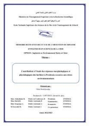 Contribution à l’étude des réponses morphologiques et physiologiques des herbiers à Posidonia oceanica aux stress environnementaux