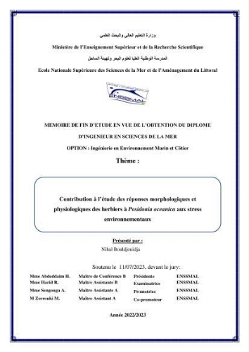Contribution à l’étude des réponses morphologiques et physiologiques des herbiers à Posidonia oceanica aux stress environnementaux Contribution à l’étude des réponses morphologiques et physiologiques des herbiers à Posidonia oceanica aux stress environnementaux