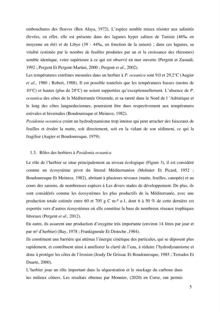 Contribution à l’étude des réponses morphologiques et physiologiques des herbiers à Posidonia oceanica aux stress environnementaux