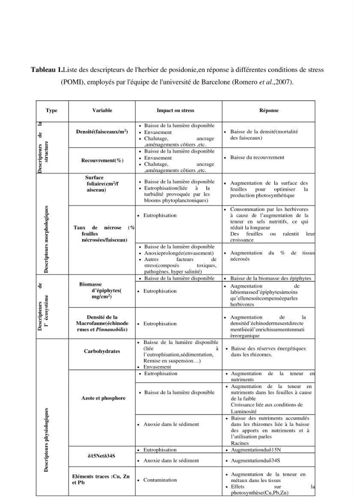 Contribution à l’étude des réponses morphologiques et physiologiques des herbiers à Posidonia oceanica aux stress environnementaux