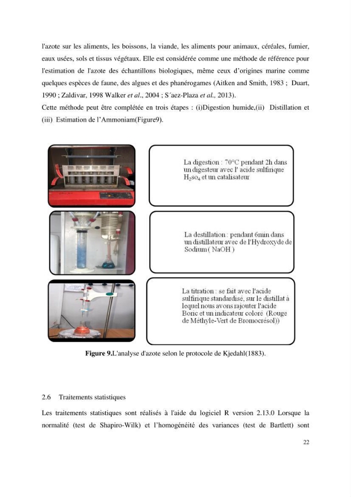 Contribution à l’étude des réponses morphologiques et physiologiques des herbiers à Posidonia oceanica aux stress environnementaux