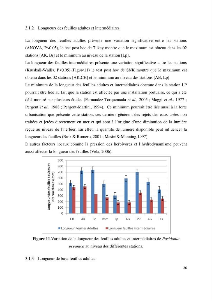 Contribution à l’étude des réponses morphologiques et physiologiques des herbiers à Posidonia oceanica aux stress environnementaux
