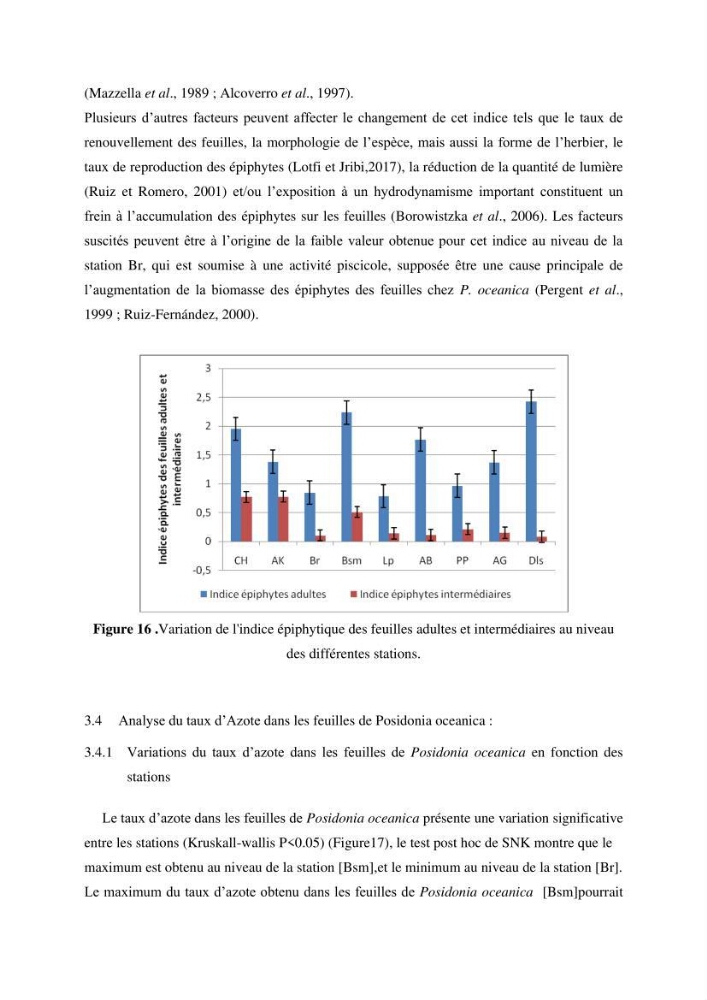 Contribution à l’étude des réponses morphologiques et physiologiques des herbiers à Posidonia oceanica aux stress environnementaux