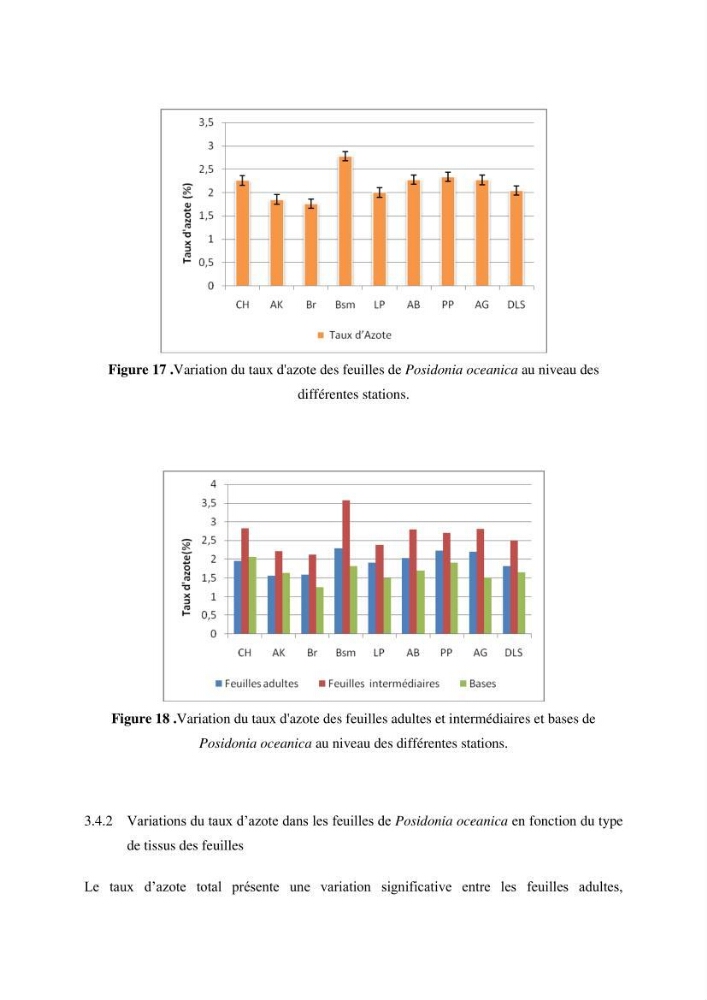 Contribution à l’étude des réponses morphologiques et physiologiques des herbiers à Posidonia oceanica aux stress environnementaux