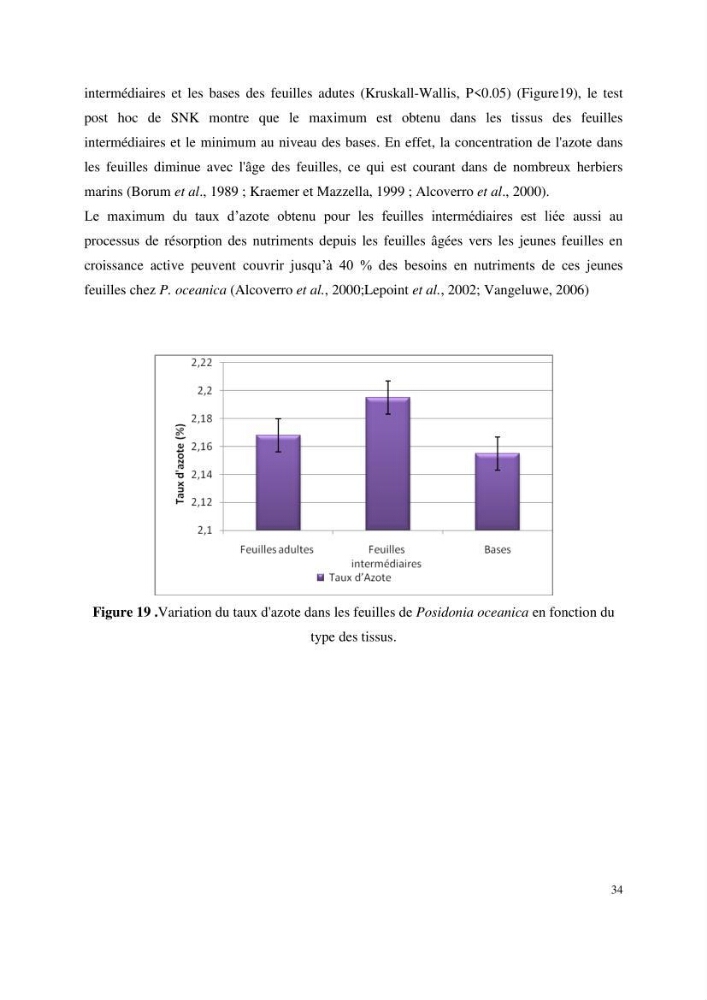 Contribution à l’étude des réponses morphologiques et physiologiques des herbiers à Posidonia oceanica aux stress environnementaux