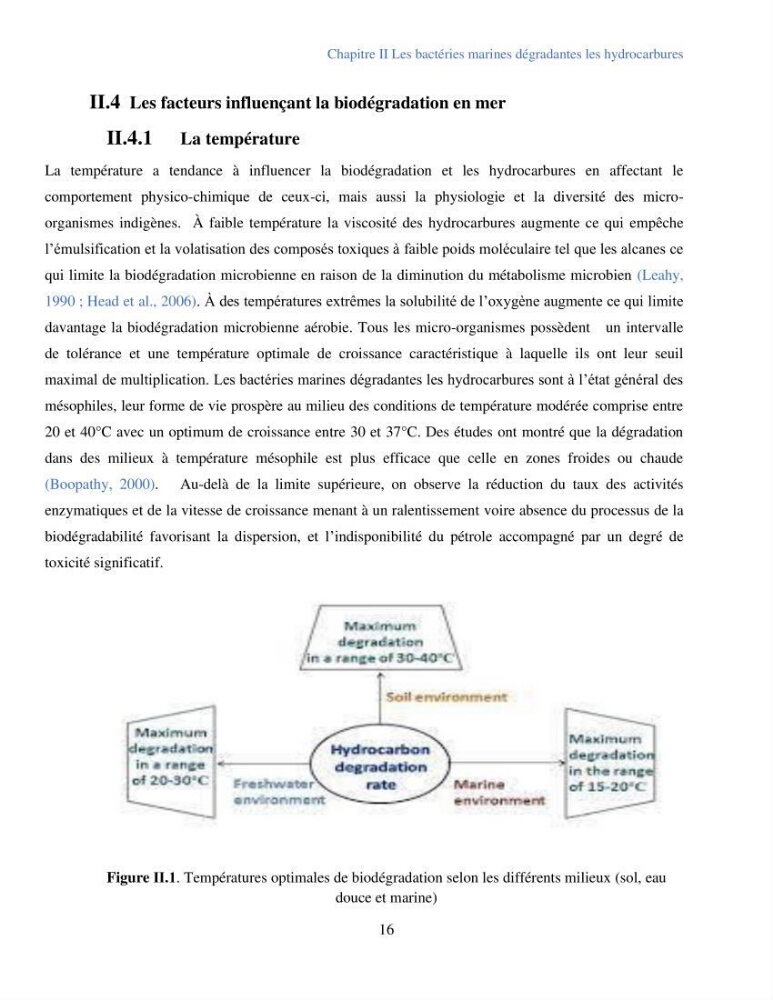Caractérisation des bactéries marines dégradant les différentes fractions du pétrole