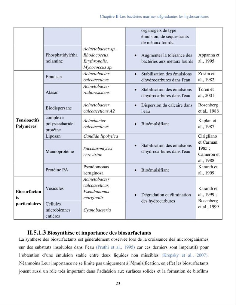 Caractérisation des bactéries marines dégradant les différentes fractions du pétrole