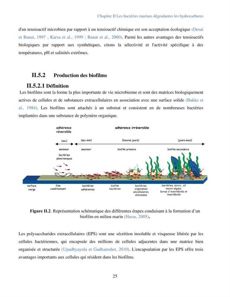 Caractérisation des bactéries marines dégradant les différentes fractions du pétrole